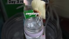 [ID: GDqRpdPvOiU] Youtube Automatic