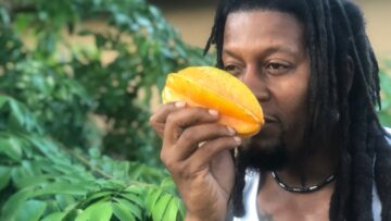 [ID: gEf_ZGTMPBM] Youtube Automatic