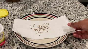 [ID: GfHVUR6BGQU] Youtube Automatic