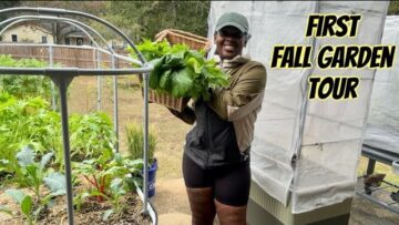 [ID: gGcTGsSF0cM] Youtube Automatic