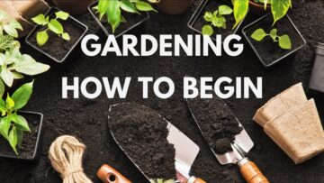 [ID: GKXh_rGTOcc] Youtube Automatic