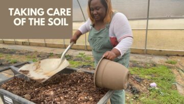 [ID: GtbPpSYO0aQ] Youtube Automatic