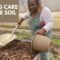 MULCHING and FERTILIZING-Taking Care of the SOIL