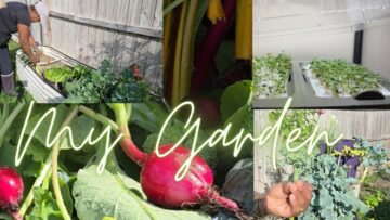 [ID: GvFC3alzMx8] Youtube Automatic