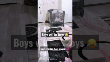 [ID: gwAIfGEyxfw] Youtube Automatic