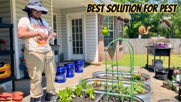 [ID: gYNe6zQl_4g] Youtube Automatic