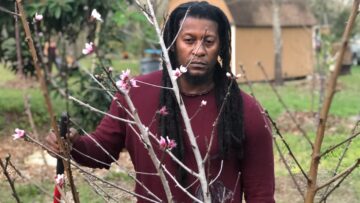 [ID: Gzb8x6XBASQ] Youtube Automatic