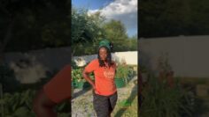 [ID: gzBr3SnTyX8] Youtube Automatic