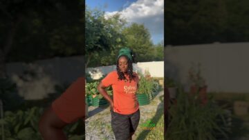 [ID: gzBr3SnTyX8] Youtube Automatic