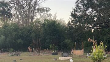 [ID: H39UfN8hKmY] Youtube Automatic