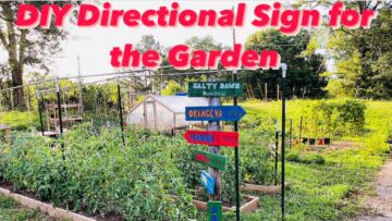 [ID: HbbzZ1SG7Bo] Youtube Automatic