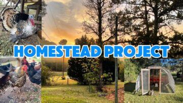 [ID: hCRjIQAokQA] Youtube Automatic