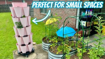 [ID: hsqM7XpeyF4] Youtube Automatic