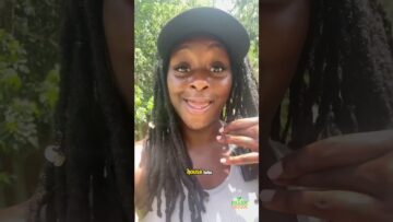 [ID: Huha0bSjOHU] Youtube Automatic