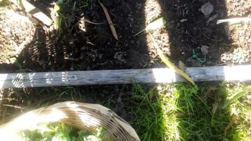 [ID: hve3rfb_v4s] Youtube Automatic