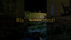 [ID: hvpbiEkl4wQ] Youtube Automatic