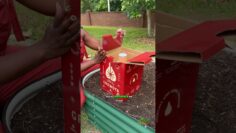 [ID: HWSf0YIbCj4] Youtube Automatic