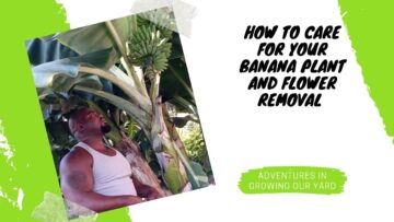 [ID: HWWkk7xP2qE] Youtube Automatic