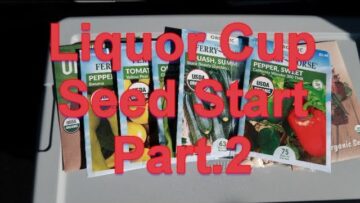 [ID: HzRmq7Nk5YU] Youtube Automatic