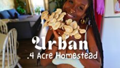 [ID: I389EiupJRA] Youtube Automatic