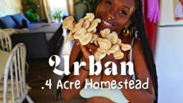 [ID: I389EiupJRA] Youtube Automatic