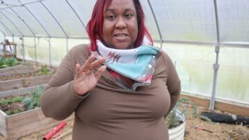 [ID: i5LnDBVAcR4] Youtube Automatic