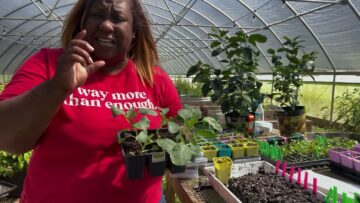 [ID: i63f73vzO_E] Youtube Automatic