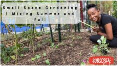 [ID: I7QogmOLC8Y] Youtube Automatic