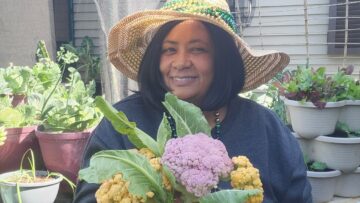 [ID: I9jcODzQnzA] Youtube Automatic