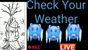 [ID: IblfG5aQwUQ] Youtube Automatic