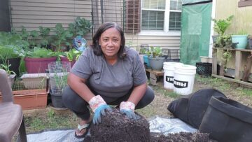 [ID: IBnCYuPtunc] Youtube Automatic