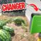Watering Watermelons with Rainpoint Smart Timer
