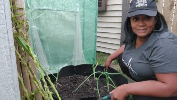 [ID: iD7lvuzLu78] Youtube Automatic