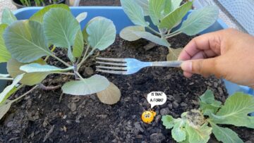 [ID: Ie7Gh2BSECk] Youtube Automatic