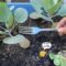 9 of The BEST Gardening Tools For Beginners