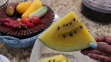 [ID: iF9_O2q8VHM] Youtube Automatic