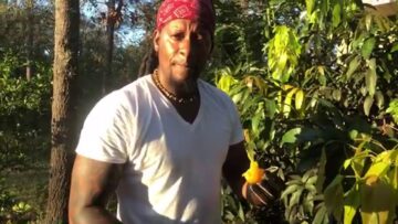 [ID: IFj3Ee9sYDQ] Youtube Automatic