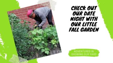 [ID: ifkW322Ry30] Youtube Automatic