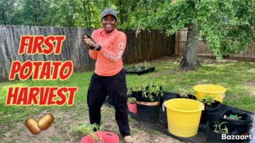 [ID: Igovga2u-VA] Youtube Automatic