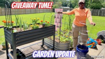 [ID: IGwaZZ5X_jI] Youtube Automatic