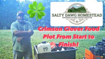 [ID: IHETsxzKhbA] Youtube Automatic