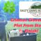 Planting Clover the Easy Way — My Step-by-Step Guide