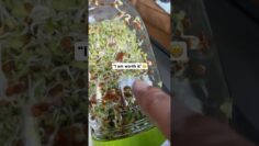 [ID: iinvQzgfImM] Youtube Automatic