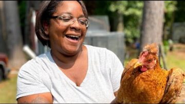 [ID: IJnewSsMtHU] Youtube Automatic