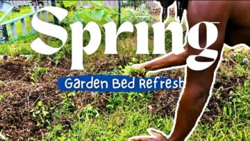 [ID: Inq0zWgbSCg] Youtube Automatic