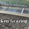 How To Build A Grazing Box For Chickens