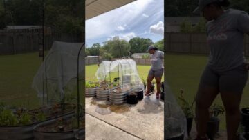 [ID: iru7IvTervQ] Youtube Automatic