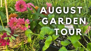 [ID: IsME4TkpYDM] Youtube Automatic