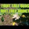 Fruit Trees Budding/Fruit Tree Addicts Edition
