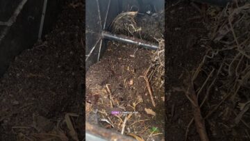 [ID: ItnxefFMEhc] Youtube Automatic